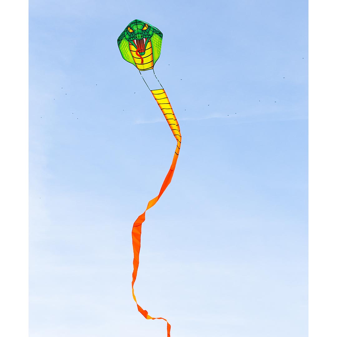 Ecoline: Emerald Cobra Kite