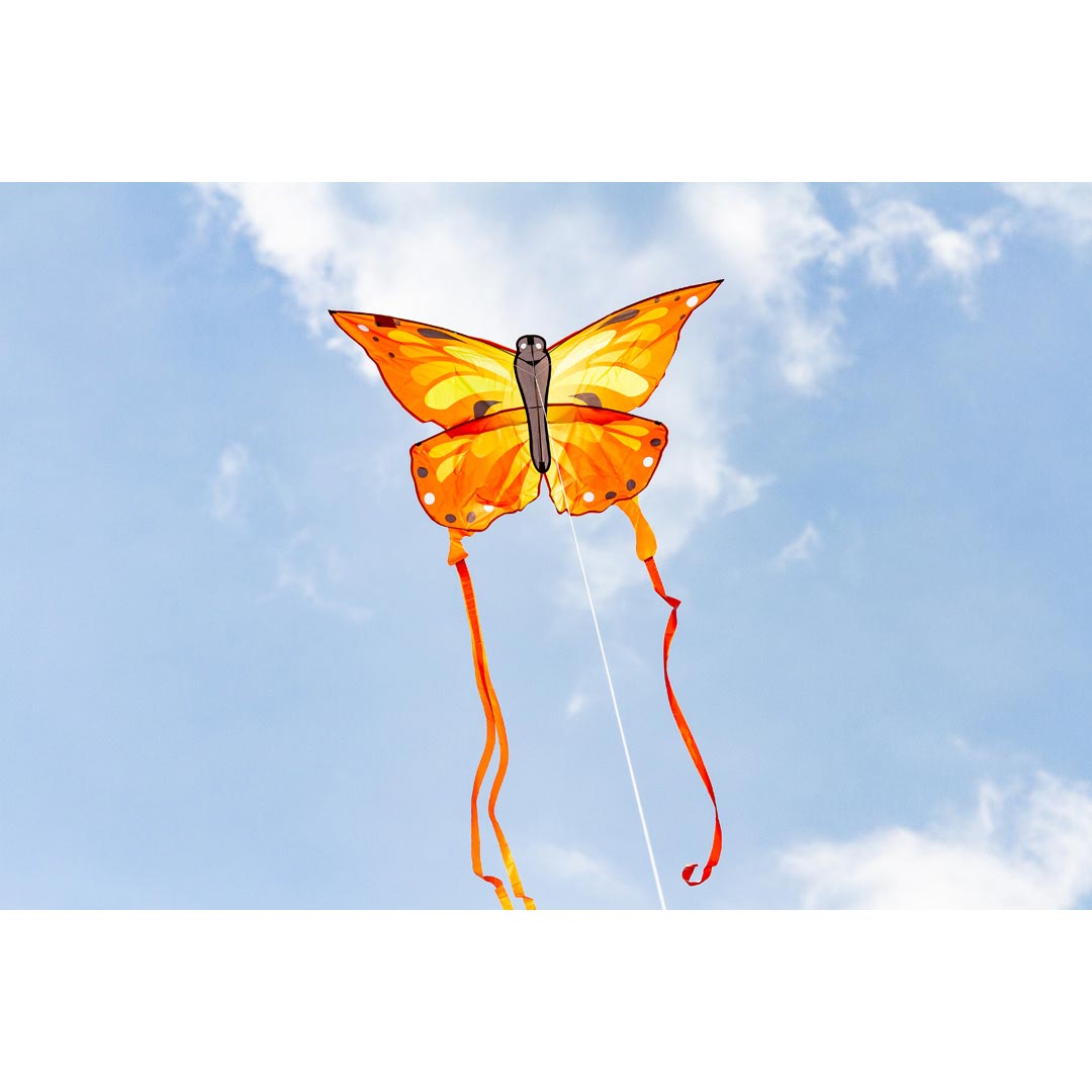Ecoline: Butterfly Kite Sunrise