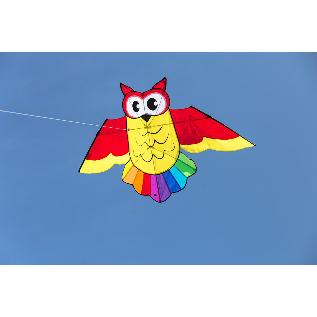 Owl Kite