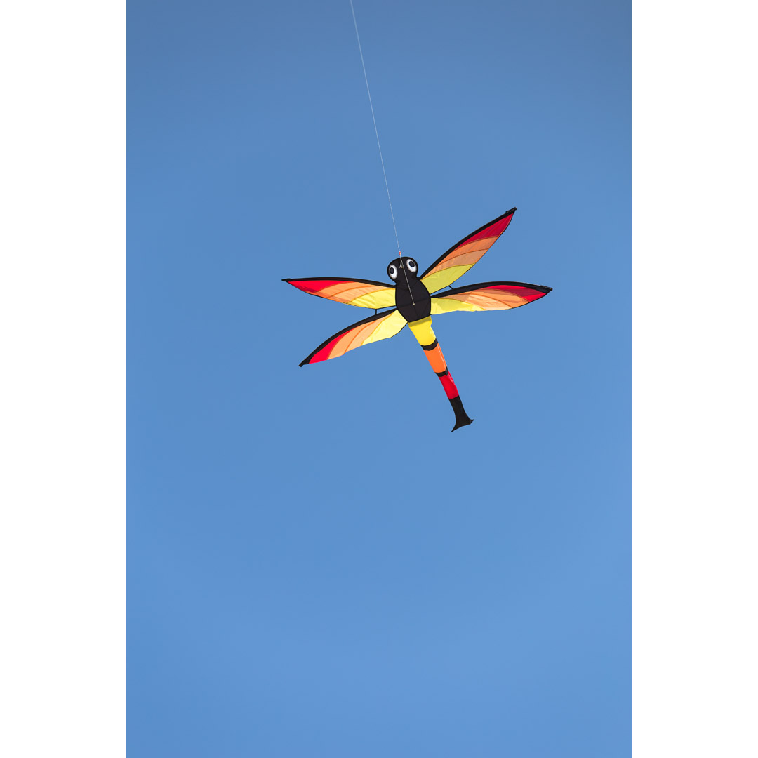 Dragonfly Kite