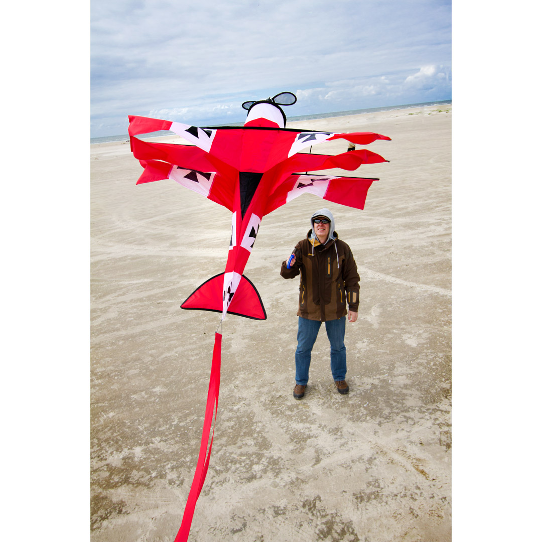 Red Baron 3D Airplane