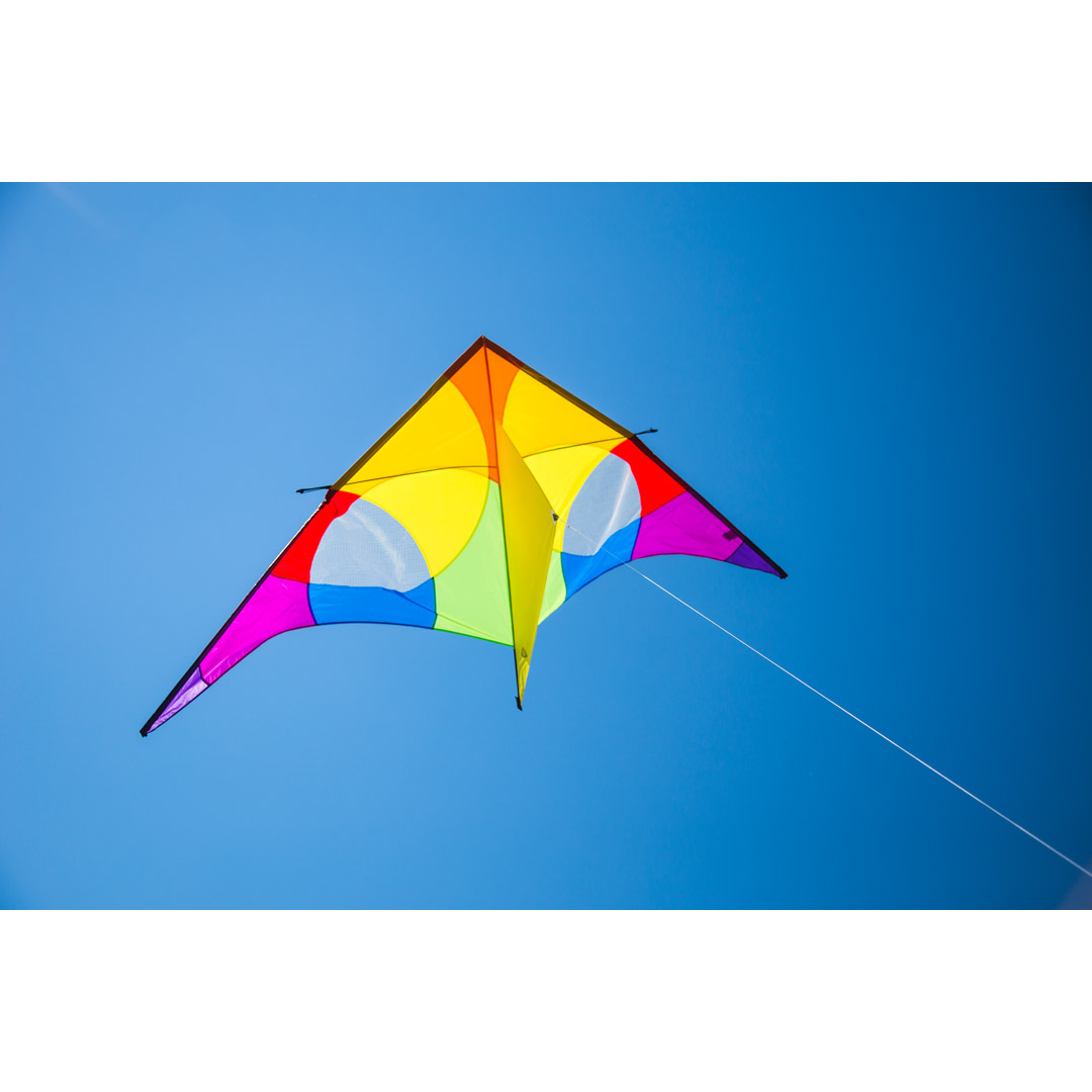 Tail Line Delta Kite Rainbow single line Huge 106"x54" Swivel Reel Bag 