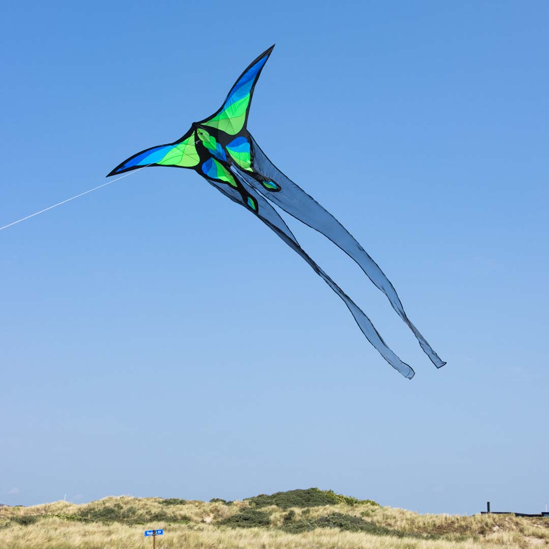 Brasington´s Lunar Moth