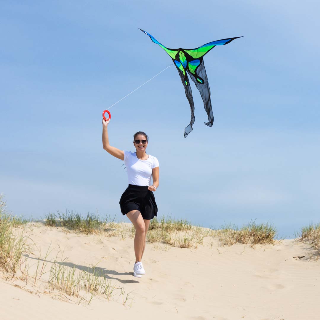 Brasington´s Lunar Moth