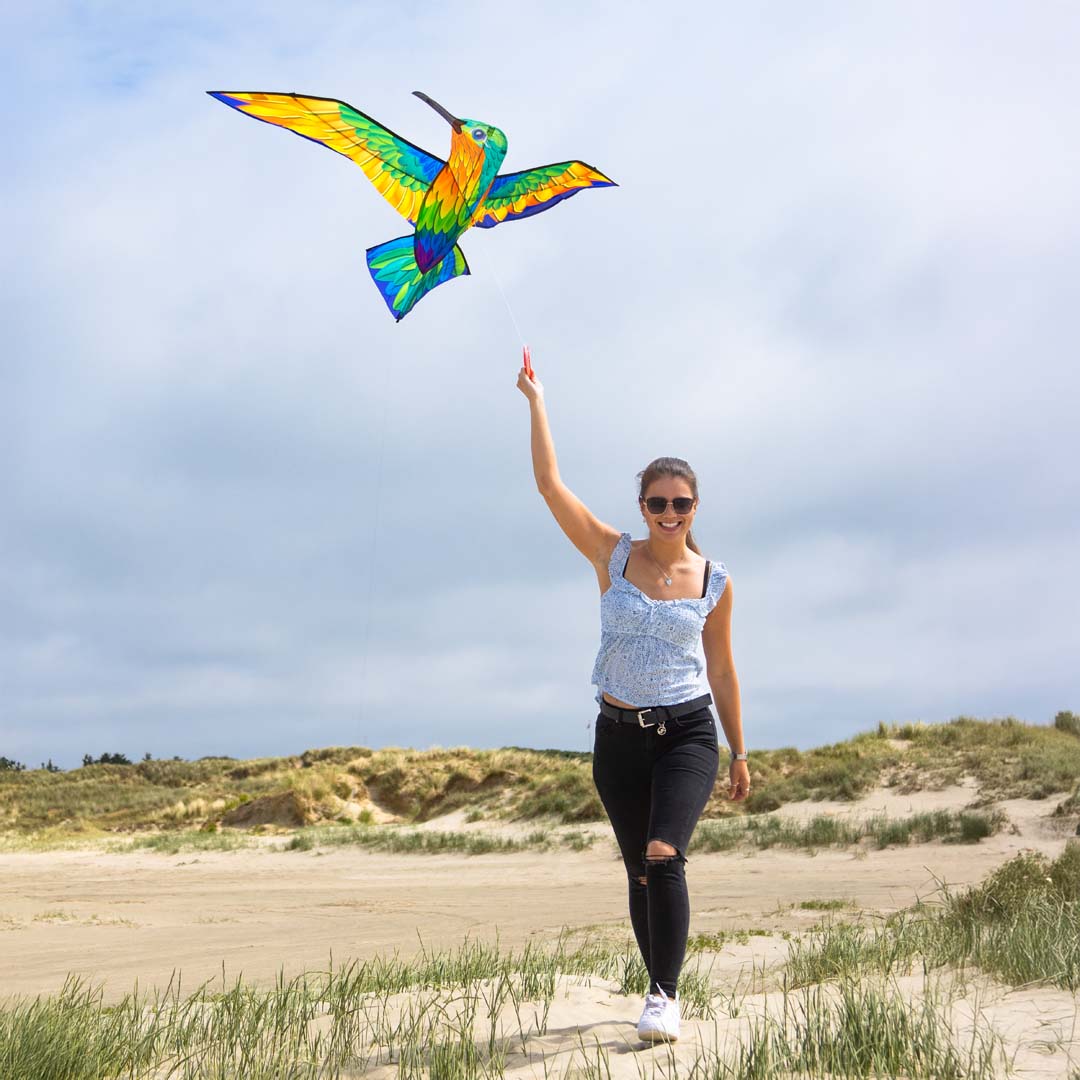 Bird Kite Hummingbird