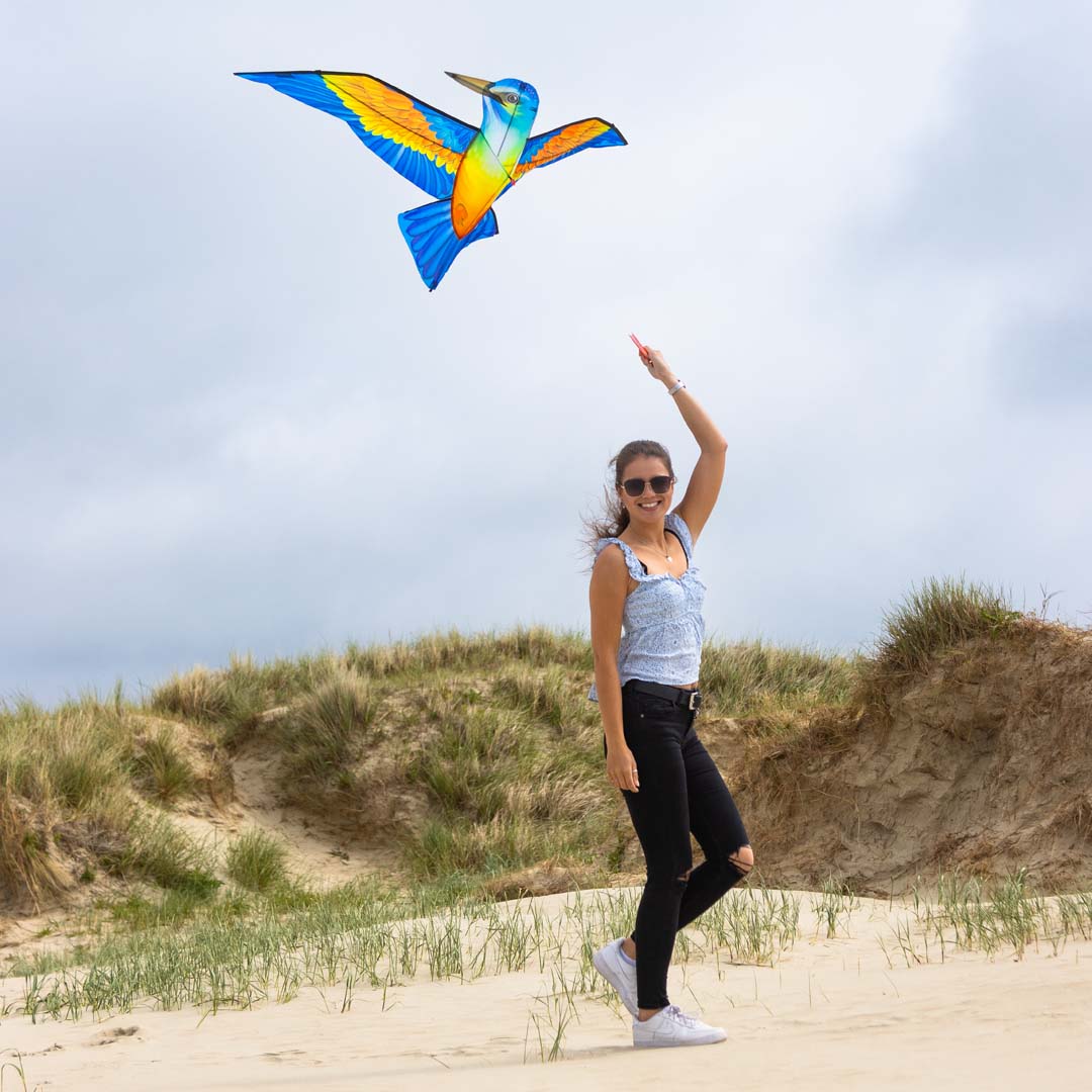 Bird Kite Kingfisher