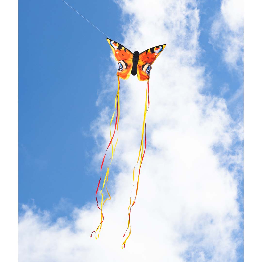 Butterfly Kite Peacock L