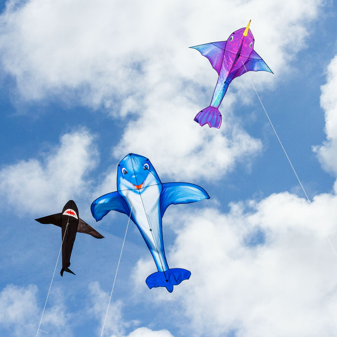 3D Whale Kite for Kids and Adults