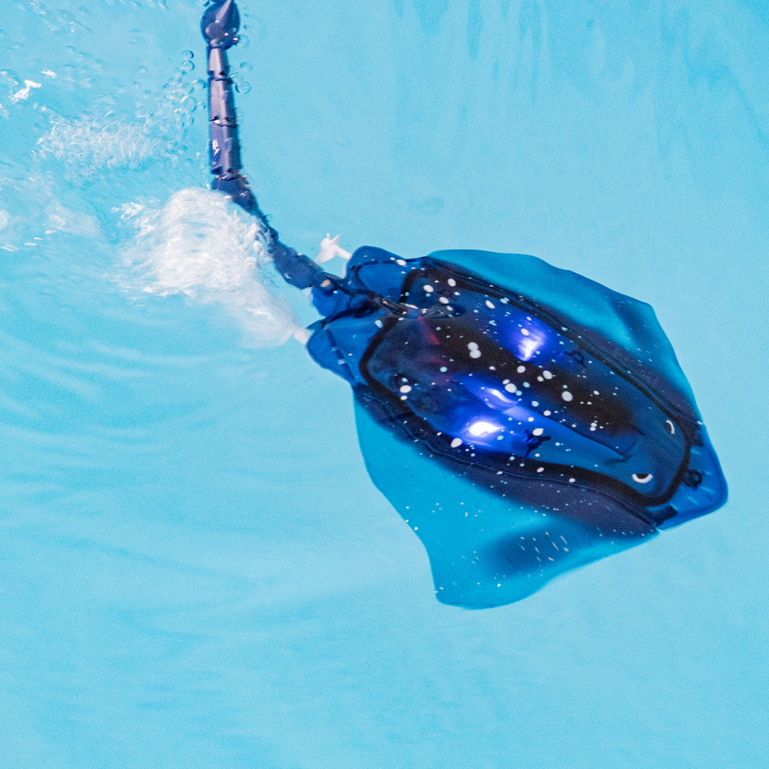 RC: Manta Rochen