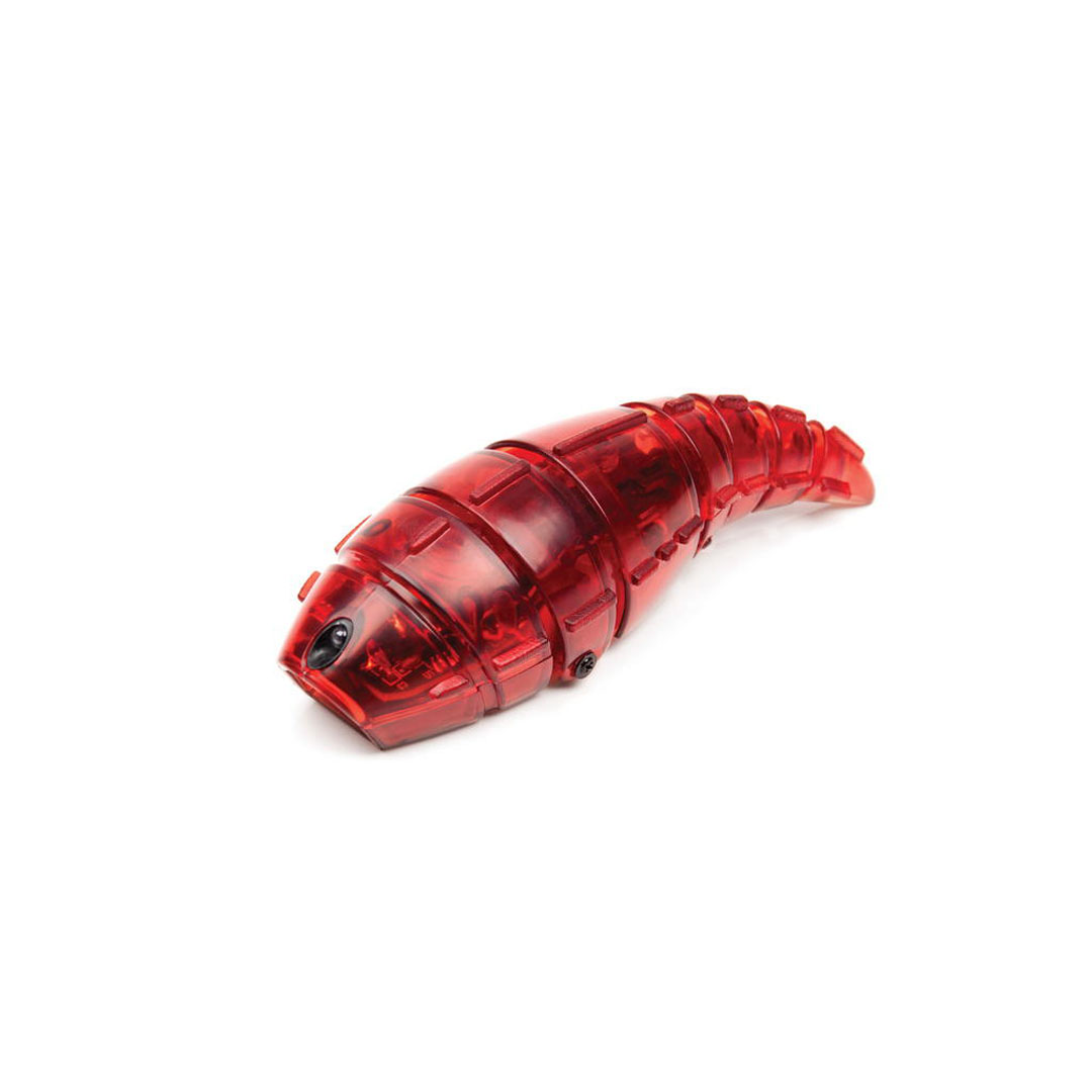 hexbug larva