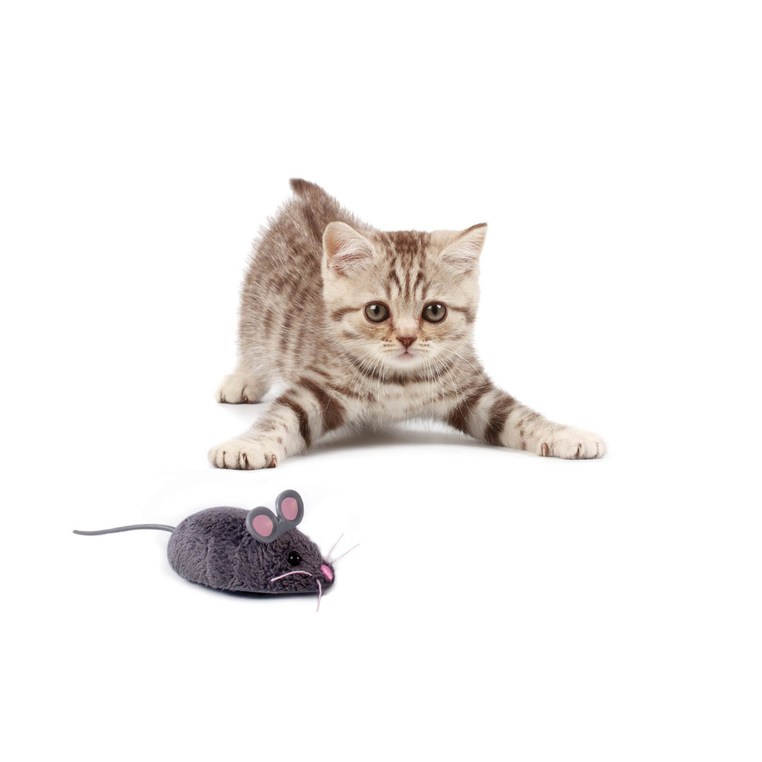 Hexbug Mouse Cat Toy - Grey