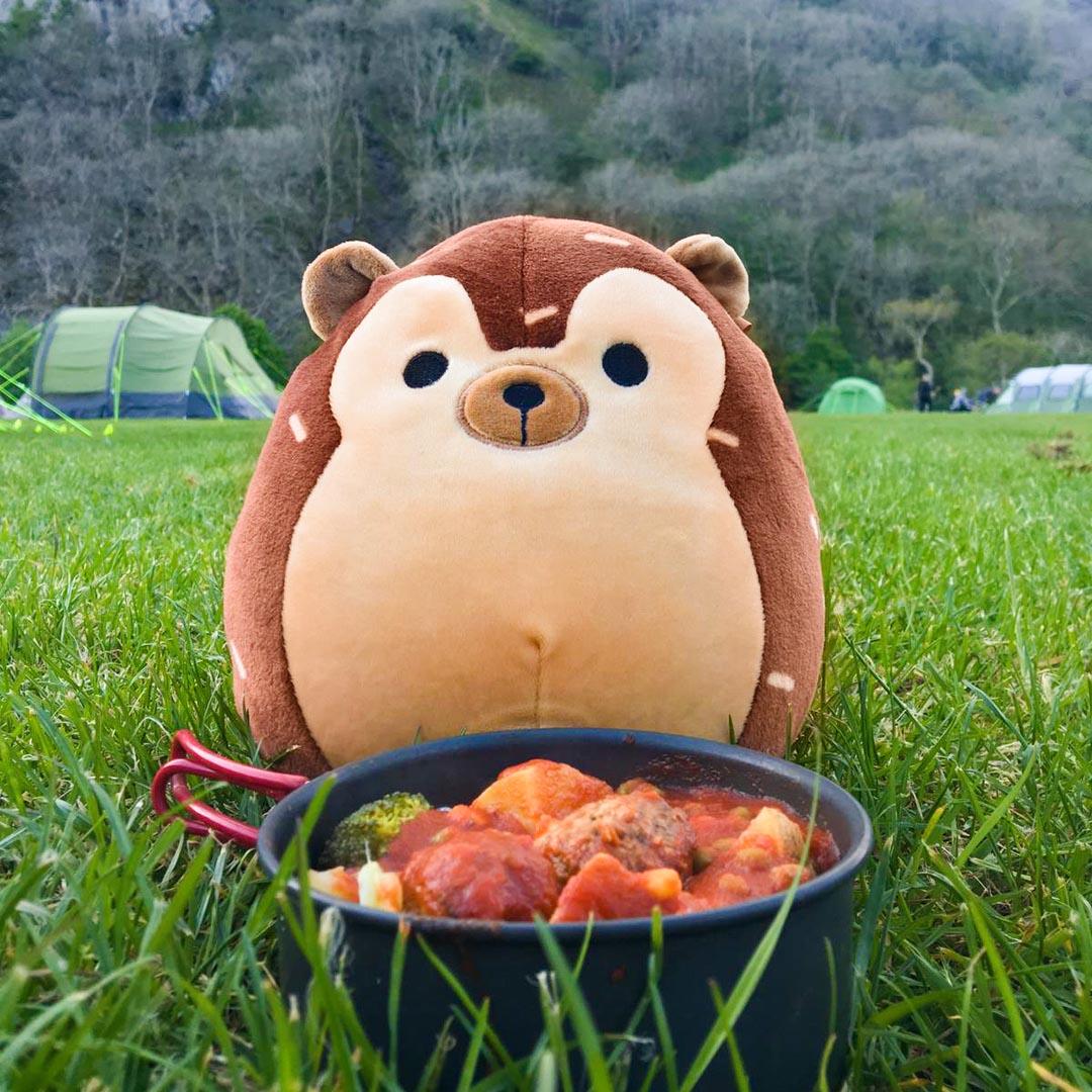 squishmallows hans