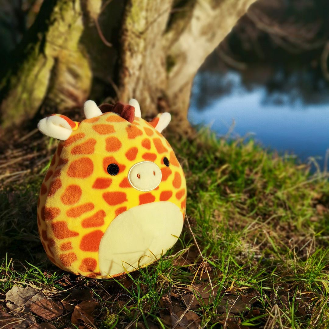 squishmallow gary the giraffe