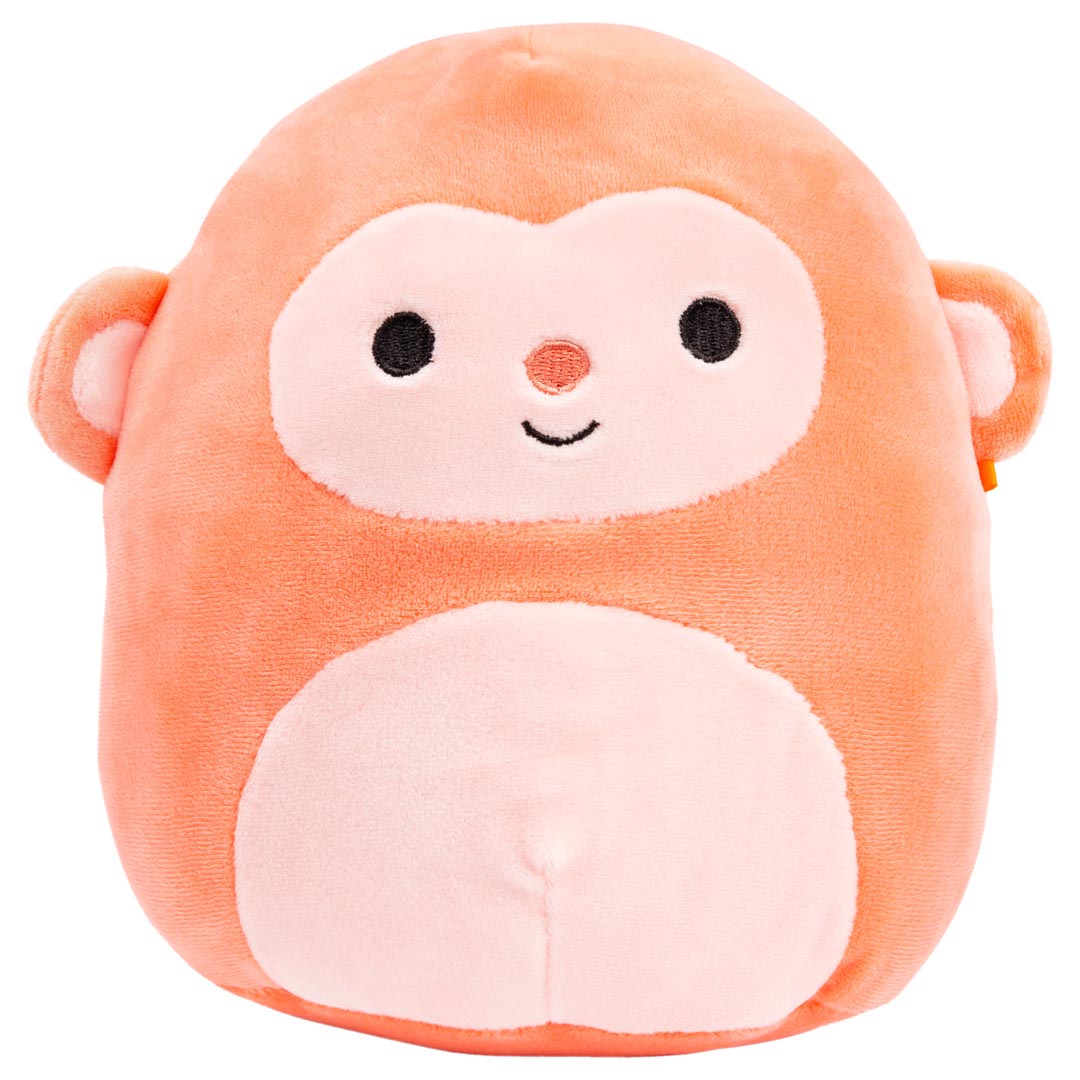 gary squishmallow