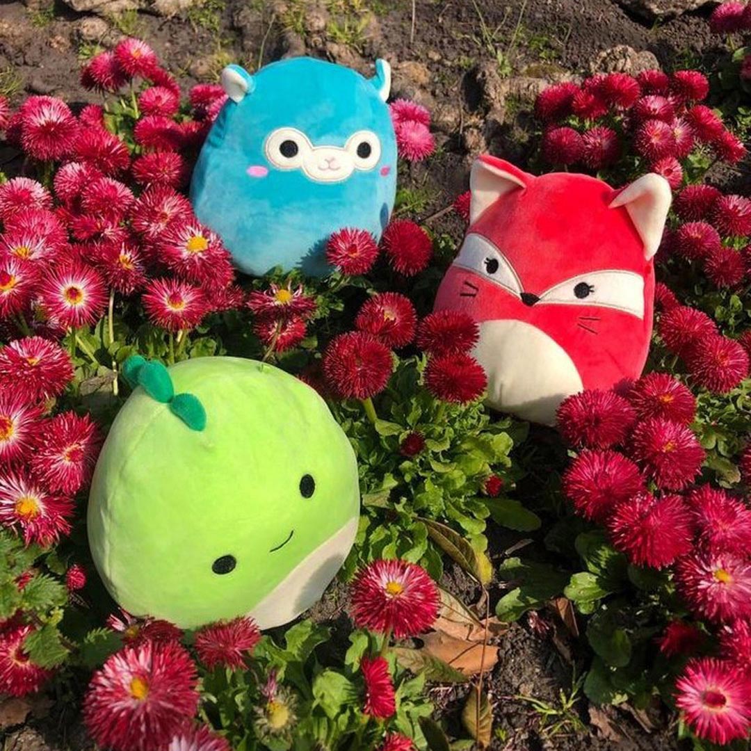 squishmallows tim the alpaca